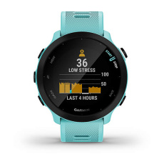 Forerunner® 55 (Vert d'eau)